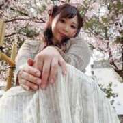 ヒメ日記 2025/03/26 19:57 投稿 みその 西船人妻花壇