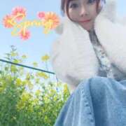 ヒメ日記 2025/04/06 09:02 投稿 みその 西船人妻花壇