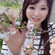 ヒメ日記 2025/04/07 14:30 投稿 みその 西船人妻花壇