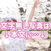 ヒメ日記 2025/04/08 22:01 投稿 みその 西船人妻花壇