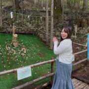 ヒメ日記 2025/05/04 13:45 投稿 みその 西船人妻花壇