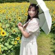 ヒメ日記 2025/05/17 20:38 投稿 みその 西船人妻花壇