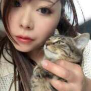 ヒメ日記 2025/05/28 20:36 投稿 みその 西船人妻花壇