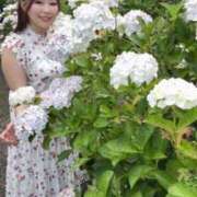 ヒメ日記 2025/06/15 19:52 投稿 みその 西船人妻花壇