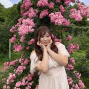 ヒメ日記 2025/06/19 08:25 投稿 みその 西船人妻花壇