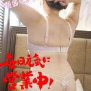 ヒメ日記 2025/06/19 23:45 投稿 みその 西船人妻花壇