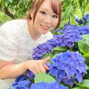 ヒメ日記 2025/06/24 08:43 投稿 みその 西船人妻花壇