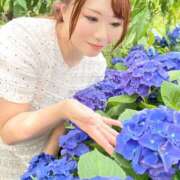 ヒメ日記 2025/06/25 08:40 投稿 みその 西船人妻花壇