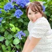 ヒメ日記 2025/06/25 12:11 投稿 みその 西船人妻花壇