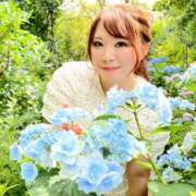 ヒメ日記 2025/06/27 07:23 投稿 みその 西船人妻花壇