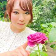 ヒメ日記 2025/06/27 08:47 投稿 みその 西船人妻花壇