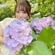 ヒメ日記 2025/06/29 22:30 投稿 みその 西船人妻花壇