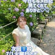 ヒメ日記 2025/06/29 22:48 投稿 みその 西船人妻花壇