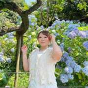 ヒメ日記 2025/06/30 07:27 投稿 みその 西船人妻花壇