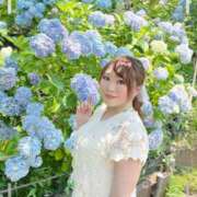 ヒメ日記 2025/07/01 14:28 投稿 みその 西船人妻花壇