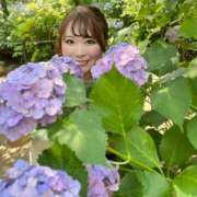 ヒメ日記 2025/07/01 20:20 投稿 みその 西船人妻花壇