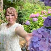 ヒメ日記 2025/07/03 07:49 投稿 みその 西船人妻花壇