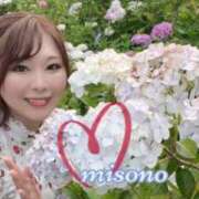 ヒメ日記 2025/07/05 08:57 投稿 みその 西船人妻花壇