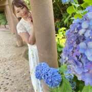 ヒメ日記 2025/07/06 21:50 投稿 みその 西船人妻花壇