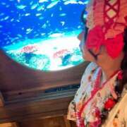 ヒメ日記 2025/07/12 14:41 投稿 みその 西船人妻花壇