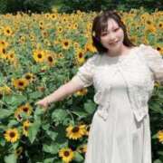 ヒメ日記 2025/07/14 22:35 投稿 みその 西船人妻花壇