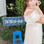 ヒメ日記 2025/08/17 16:16 投稿 みその 西船人妻花壇