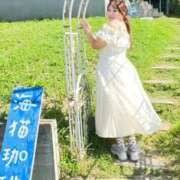 ヒメ日記 2025/08/18 08:04 投稿 みその 西船人妻花壇