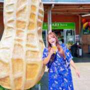 ヒメ日記 2025/09/08 19:31 投稿 みその 西船人妻花壇