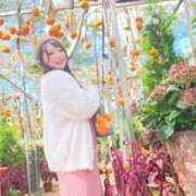 ヒメ日記 2025/11/12 08:06 投稿 みその 西船人妻花壇