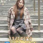 ヒメ日記 2025/11/14 08:00 投稿 みその 西船人妻花壇