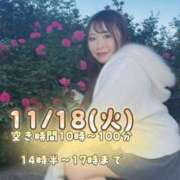 ヒメ日記 2025/11/17 18:28 投稿 みその 西船人妻花壇