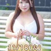 ヒメ日記 2025/11/17 21:10 投稿 みその 西船人妻花壇