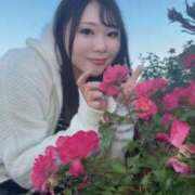 ヒメ日記 2025/12/16 22:48 投稿 みその 西船人妻花壇