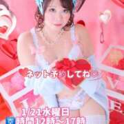 ヒメ日記 2026/01/20 17:09 投稿 みその 西船人妻花壇