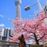 ヒメ日記 2026/03/03 08:15 投稿 みその 西船人妻花壇