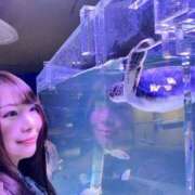 ヒメ日記 2026/03/03 19:47 投稿 みその 西船人妻花壇