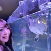 ヒメ日記 2026/03/13 08:53 投稿 みその 西船人妻花壇