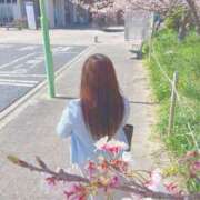 ヒメ日記 2026/03/14 23:41 投稿 みその 西船人妻花壇