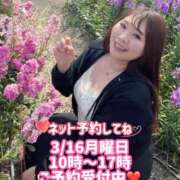 ヒメ日記 2026/03/15 18:42 投稿 みその 西船人妻花壇