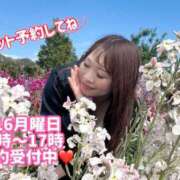 ヒメ日記 2026/03/15 20:01 投稿 みその 西船人妻花壇