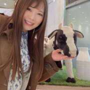 ヒメ日記 2026/03/17 08:32 投稿 みその 西船人妻花壇