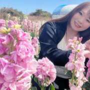 ヒメ日記 2026/03/17 19:13 投稿 みその 西船人妻花壇