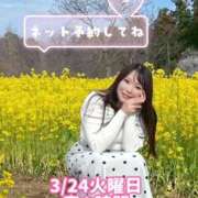 ヒメ日記 2026/03/23 21:13 投稿 みその 西船人妻花壇