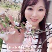 ヒメ日記 2026/03/24 06:34 投稿 みその 西船人妻花壇