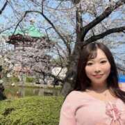 ヒメ日記 2026/03/29 15:37 投稿 みその 西船人妻花壇