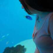 ヒメ日記 2026/03/30 21:23 投稿 みその 西船人妻花壇