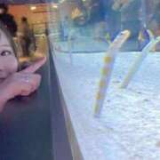 ヒメ日記 2026/03/31 14:17 投稿 みその 西船人妻花壇