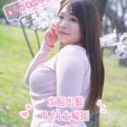 ヒメ日記 2026/04/01 15:42 投稿 みその 西船人妻花壇