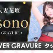 ヒメ日記 2026/04/03 16:53 投稿 みその 西船人妻花壇