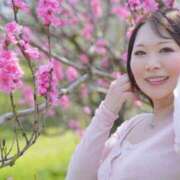 ヒメ日記 2026/04/05 09:33 投稿 みその 西船人妻花壇